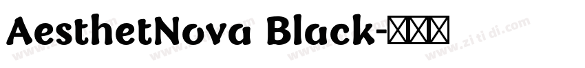 AesthetNova Black字体转换